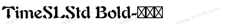 TimeSLStd Bold字体转换